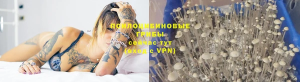 индика Абдулино