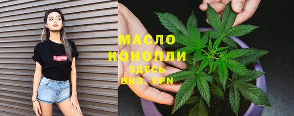 индика Абдулино