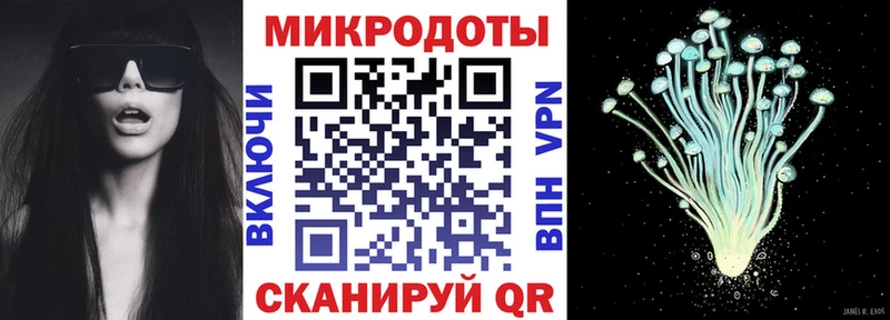 Псилоцибиновые грибы Psilocybe  Новочебоксарск 